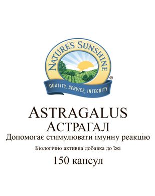 Картинка с Astragalus / Астрагал NSP