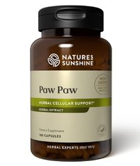 Картинка с Paw Paw Cell – Reg / Пао Пао NSP
